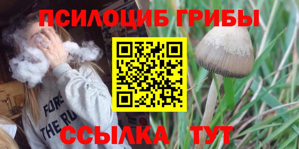 Галлюциногенные грибы Cubensis Борисоглебск