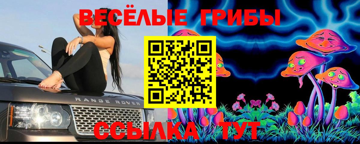 ГАШ  NBOMe  Альфа ПВП СОЛЬ кристаллы  Борисоглебск  ГАШИШ  МДМА  КОКАИН  Вход с VPN  Меф  