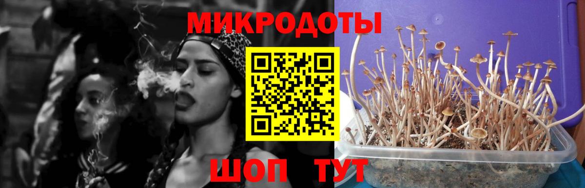Борисоглебск  Псилоцибиновые грибы GOLDEN TEACHER  Вход с VPN 